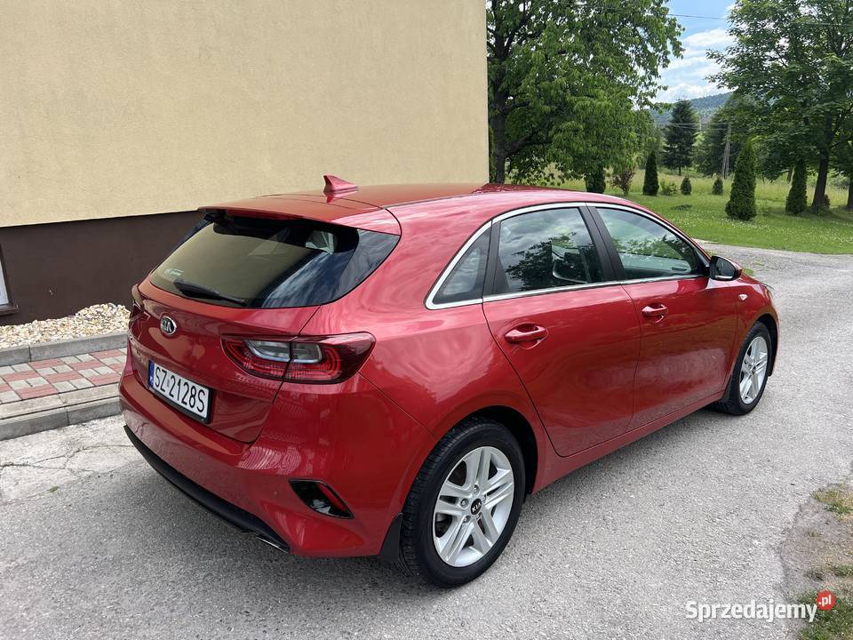 Kia Ceed III 16 CRDi 115 2020 Salon LED Kamera nieuszkodzony Nowa Słupia