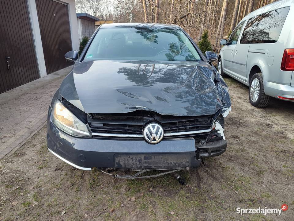 Volkswagen Golf VII Dokumentacja przebiegu 2 kamera cofania Turek