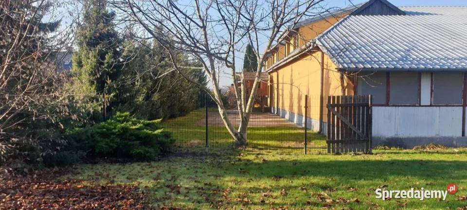 Dom magazyn hotel Gm Ożarów Maz Pilaszków sprzedam