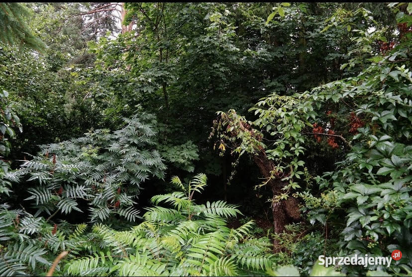 Działka Przeźmierowo Sadowa gm Tarnowo Podgórne siatka