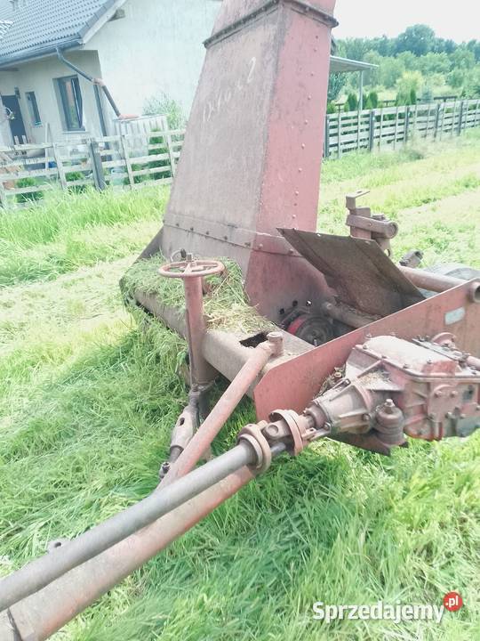 ORGINAŁ ORKAN Zastruże sprzedam
