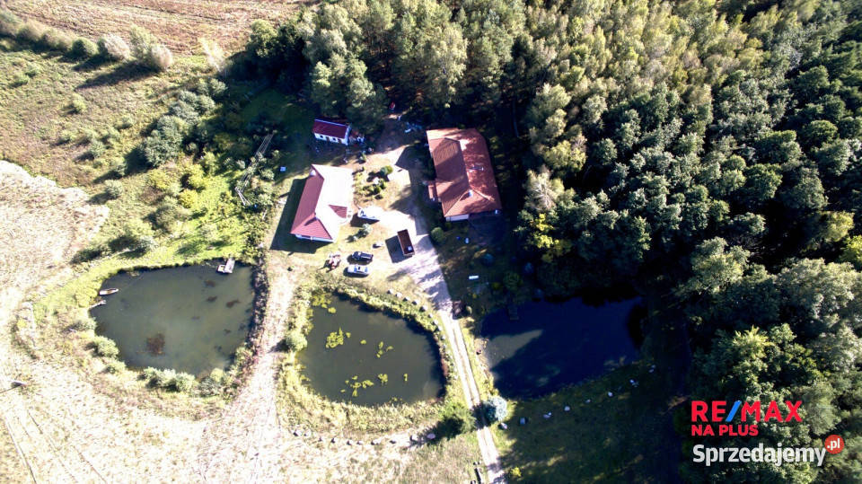 Nieruchomość inwestycyjna 375 ha Bydgoszcz