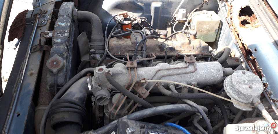 Sprzedam Peugeot 504 Coupe