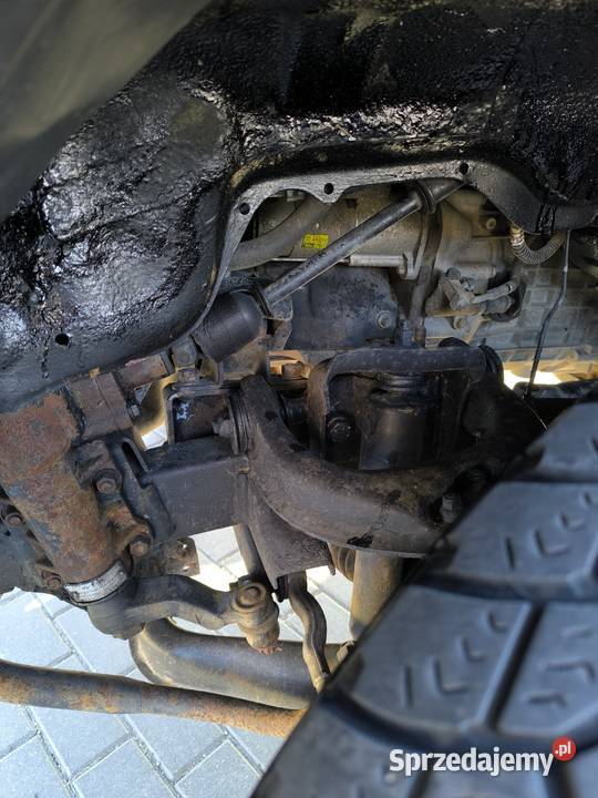 ZX grand tiger sprzedam