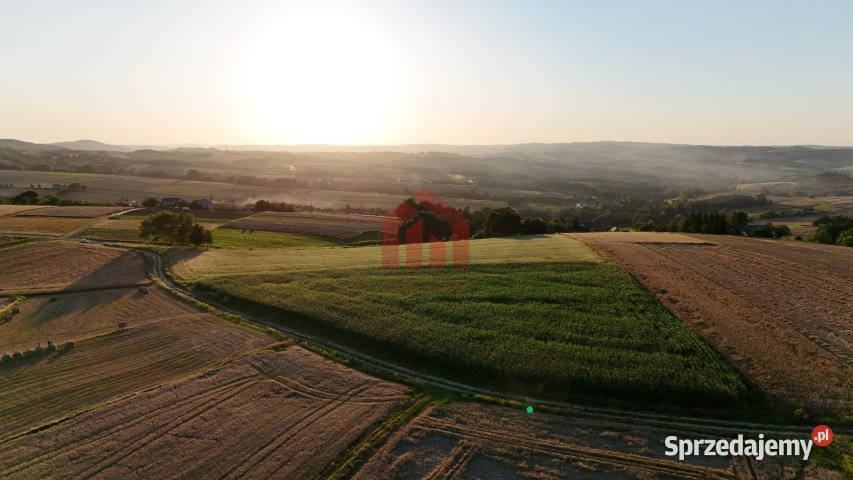 Grunt 2600m2 Brzeziny 16zł/m2