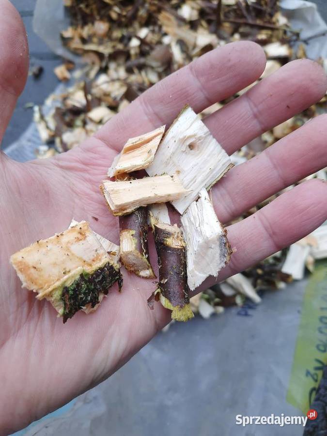 Rebak elektryczny do gałęzi Narzędzia ogrodnicze Nowodwór