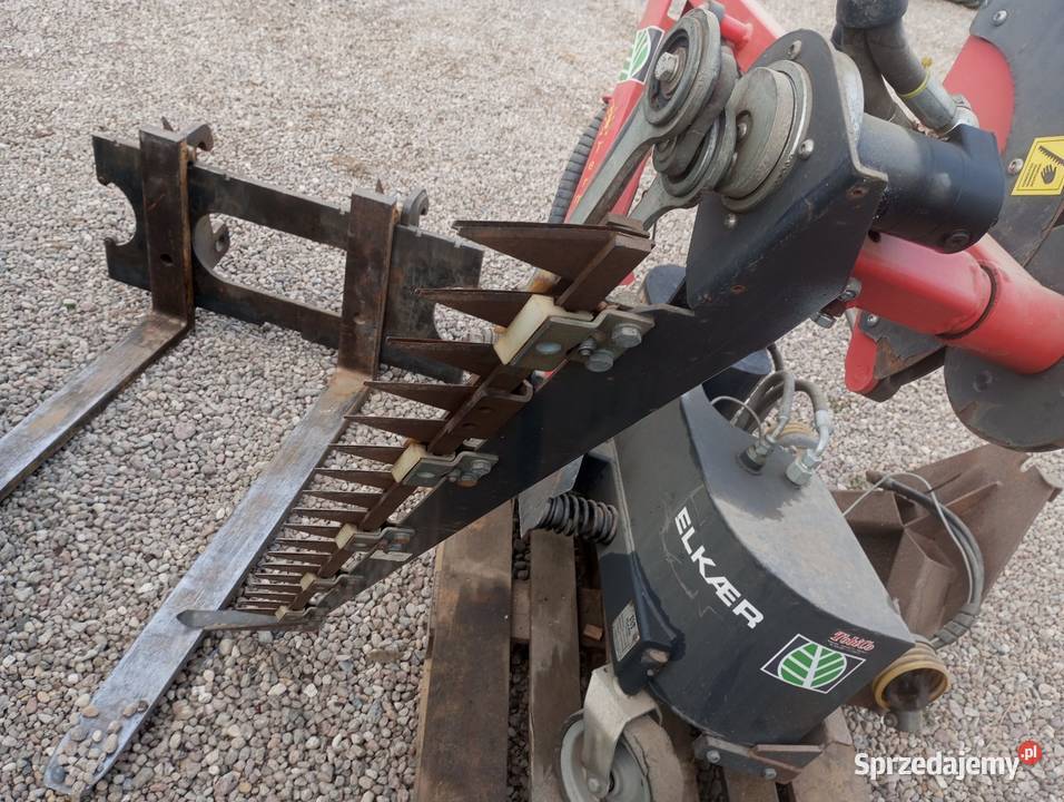 Piła obcinarka do gałezi Buk