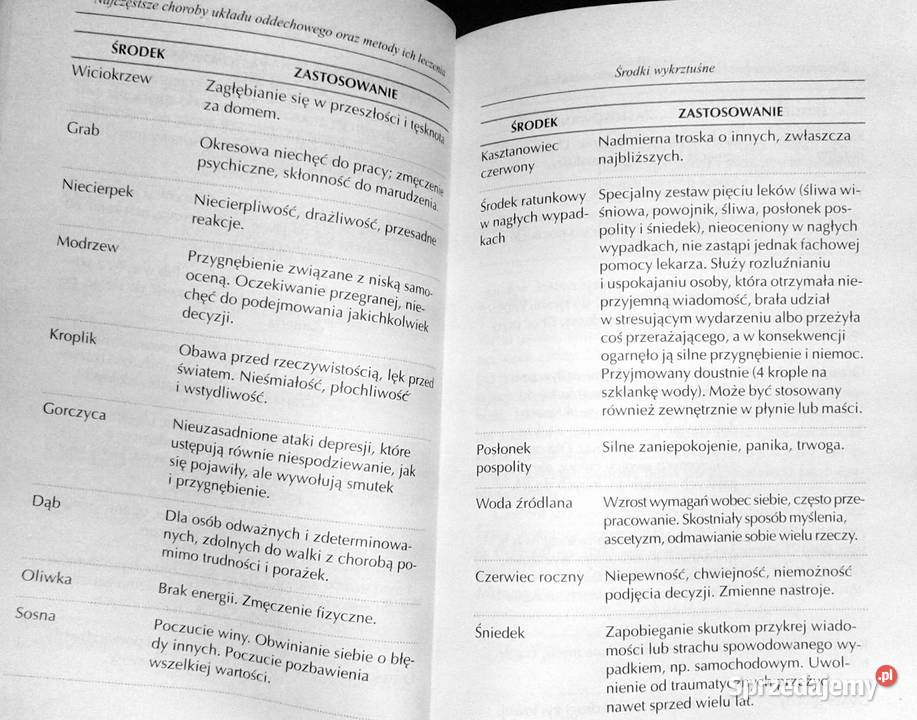 Zioła na przeziębienie astmę zapalenie zatok Rok wydania 2005 Kultura i Rozrywka Chełm