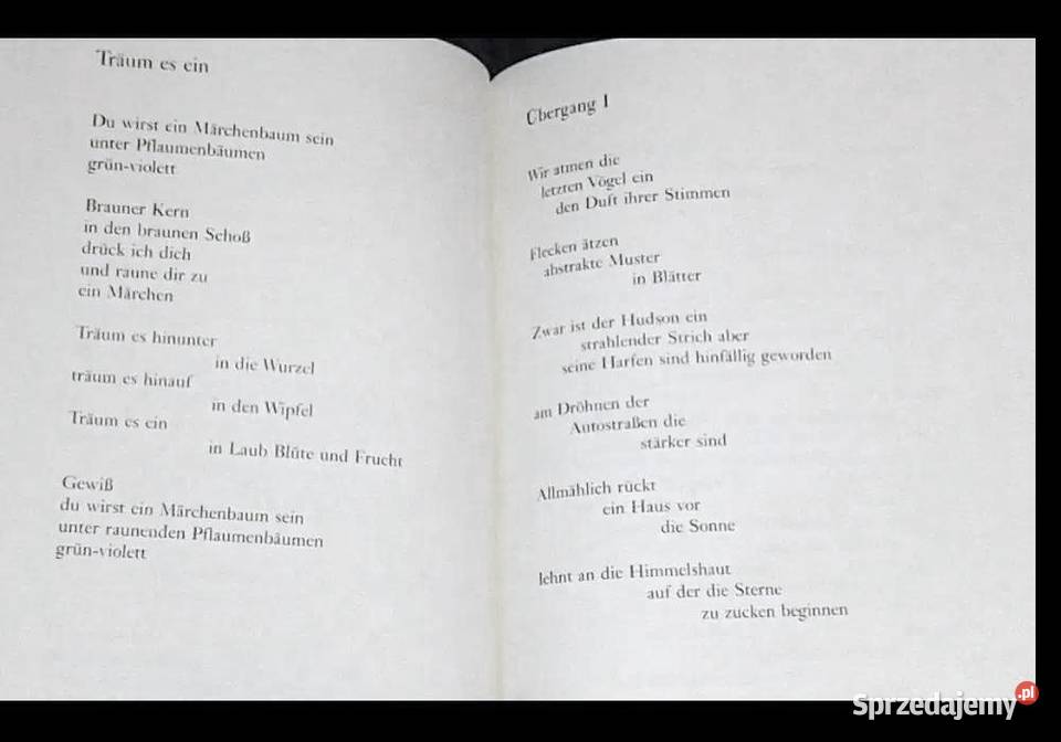 Die Musik ist zerbrochen Rose Auslnder Helmut