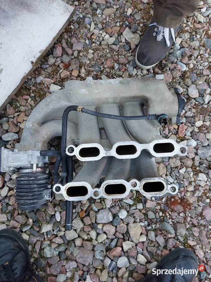 Kolektor ssący Jaguar XType 2004 25 V6 nieuszkodzony Świdwin