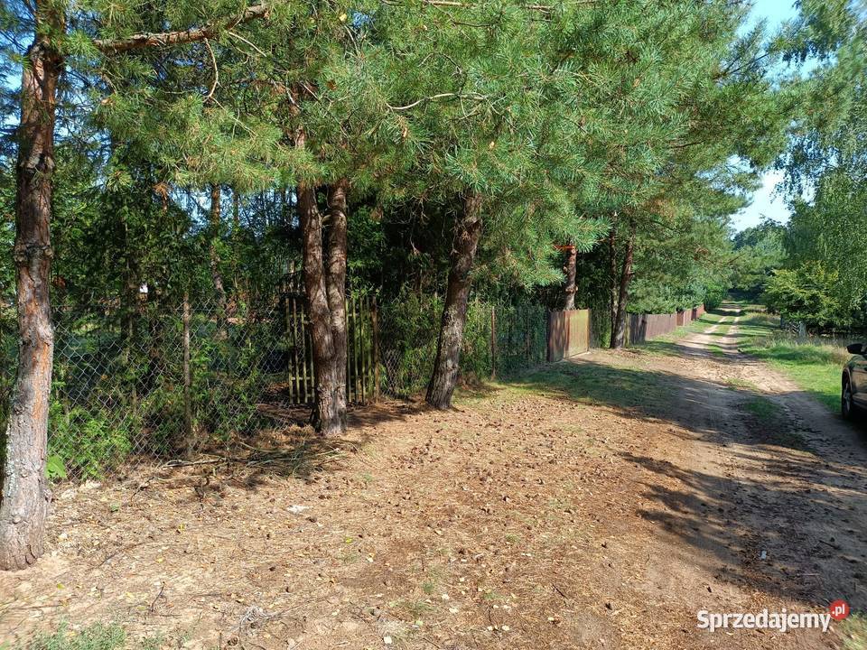 Sprzedam działkę jeziorem niedaleko Pisza Sprzedaż Kociołek Szlachecki sprzedam