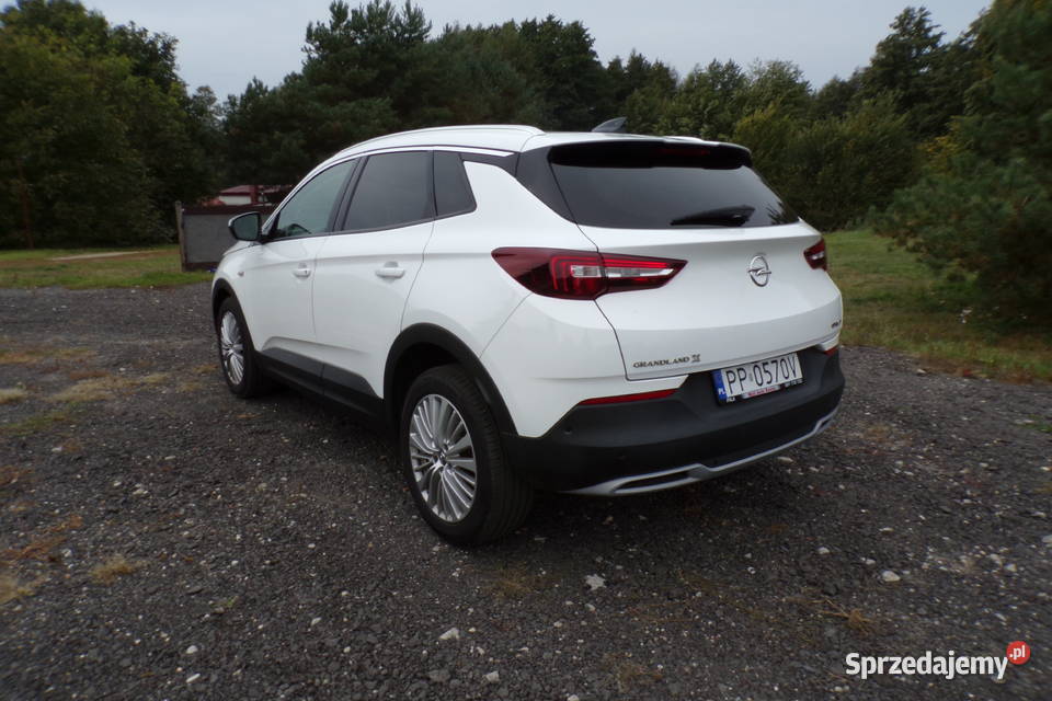 Opel Grandland X 20 CDTi 177 Automat wielkopolskie