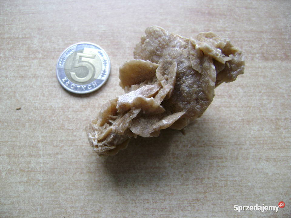 Starocie z PRL Minerały Róża Pustyni z Sahary Gdynia sprzedam