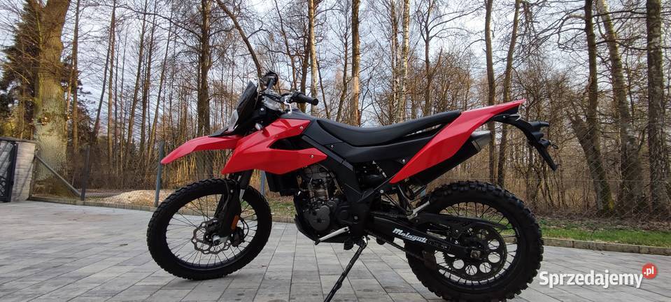 Sprzedam Malagutii xtm Dzierzązna