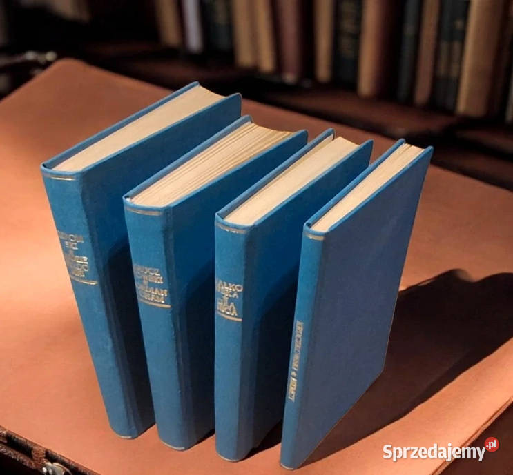 Książki Zestaw Literatura Łódź