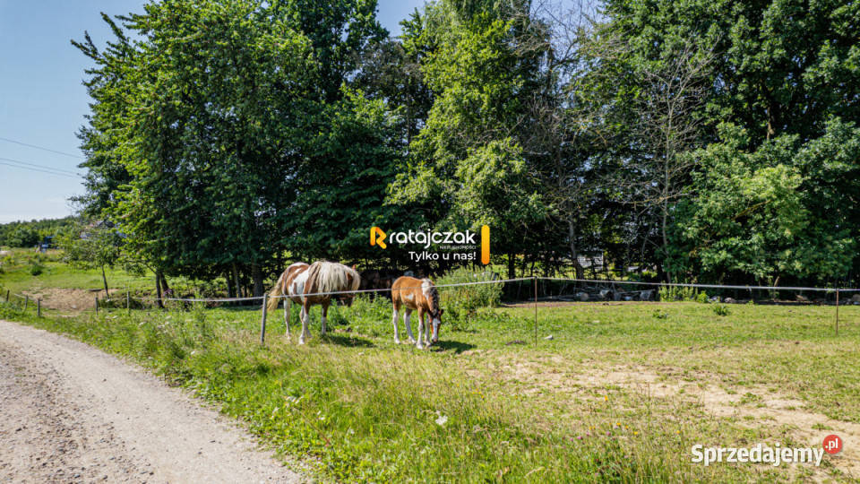Działka 1284m2 Czeczewo Na Skarpie