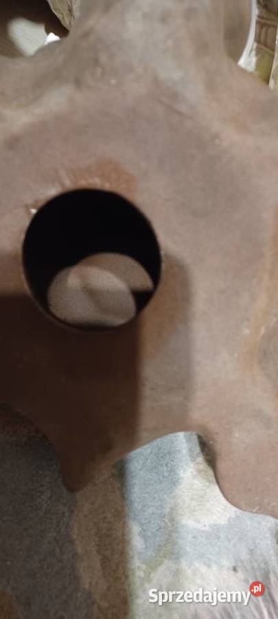 W POZNANIU KUPNO ŻÓLWIA Z GLINY CERAMIKI Środa Wielkopolska