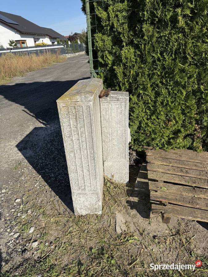 Piękna duża działka na sprzedaż 1608m2 Sprzedaż wielkopolskie Folwark