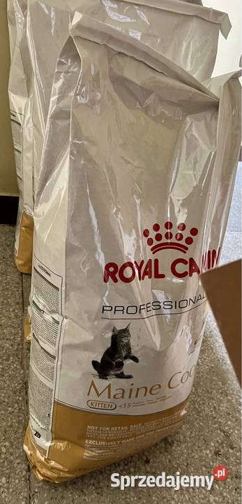 Każda RC Brit Maine Coon 15 Worek Kitten Adult Dla kotów Warszawa