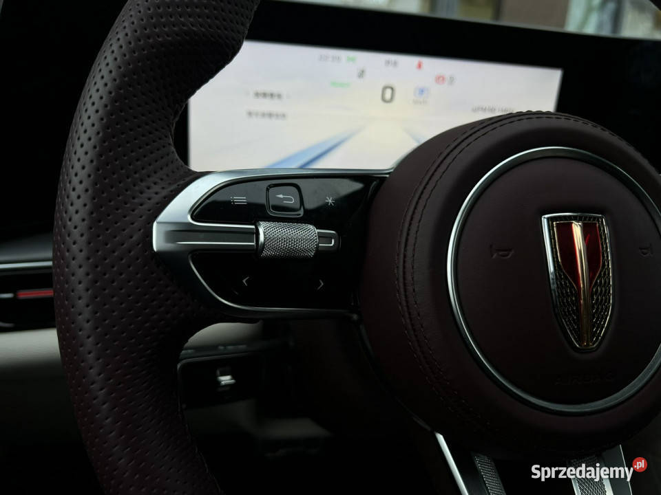 Hongqi H9 HONGQI H9 20T HEV 250 180kW Comfort Piotrków Trybunalski