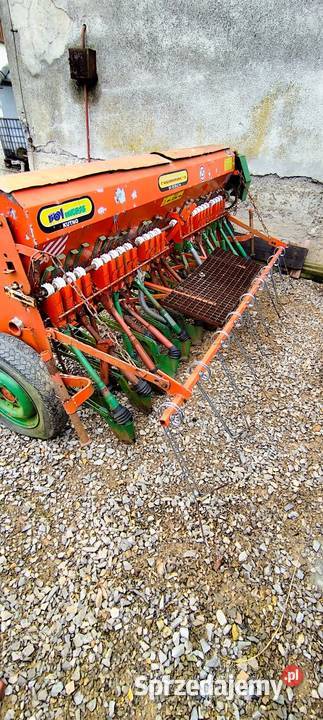 Siewnik poznaniak na części Polanka Wielka