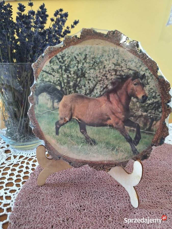 Obrazek na plastrze brzozy Strzyżów