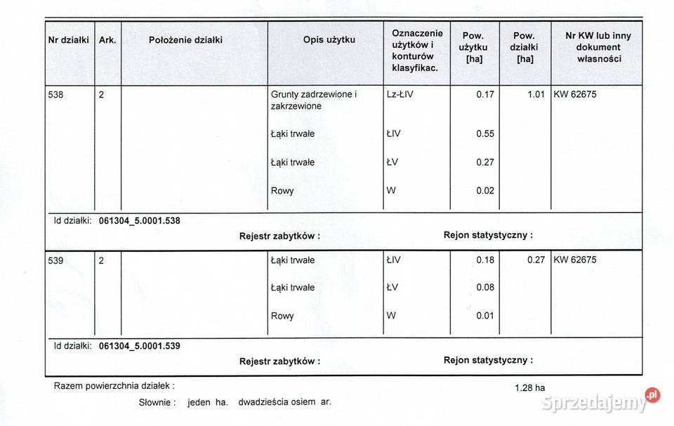 Łąka z laskiem Tyśmienica Babianka 128ha Parczew