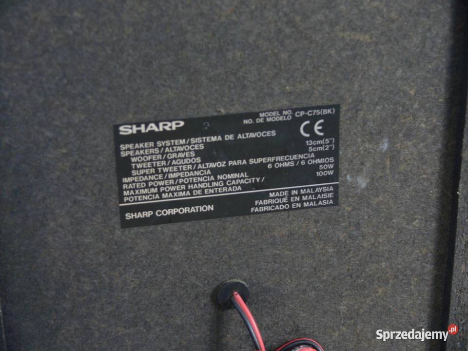 Mocne kolumny Sharp 2 x 100 wat WYSYŁKA Jasło sprzedam