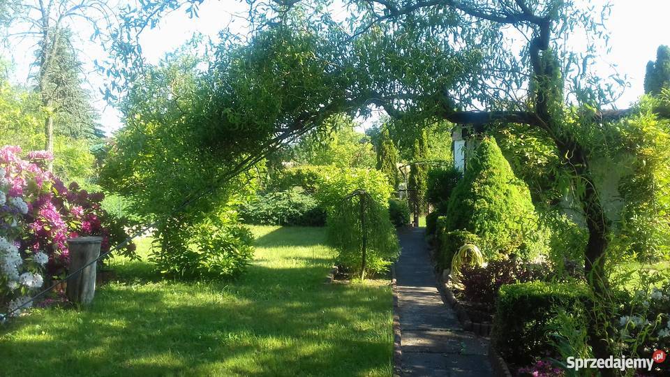 Sprzedam śliczną działkę rekreacyjną Częstochowa