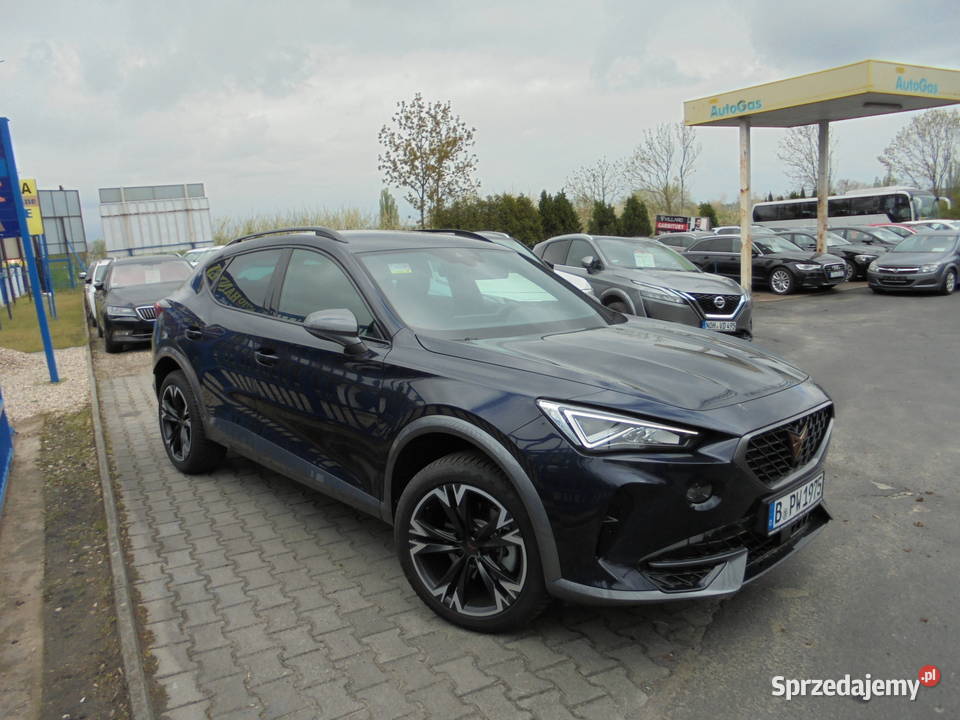 Cupra Formentor 15 TSI DSG Tribe Edition1502023r SUV Formentor Bydgoszcz
