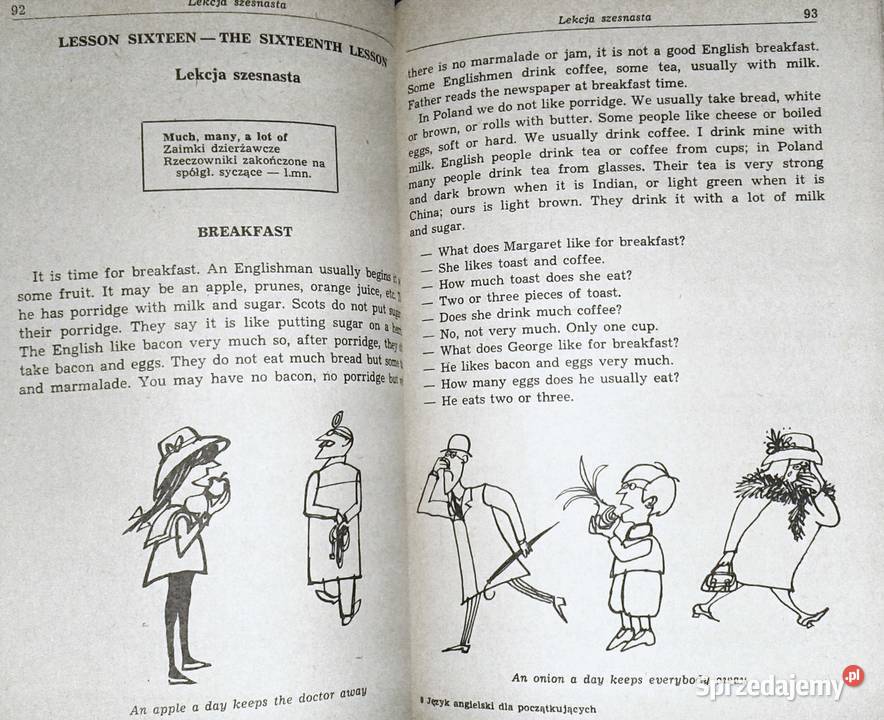 Język angielski początkujących Irena Dobrzycka sprzedam