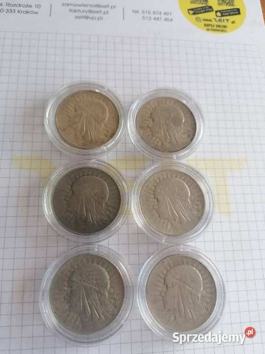 5zl głowa Kobiety Kraków