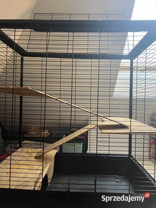 Klatka gryzonii duża szczur szczurów szynszyli śląskie Jaworzno