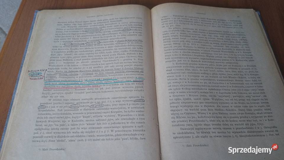 Dialekty języka polskiego Kazimierz Nitsch