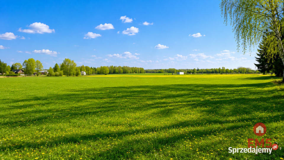 Grunt sprzedam 25280m2 Choroszcz 117m podlaskie Nowosiółki