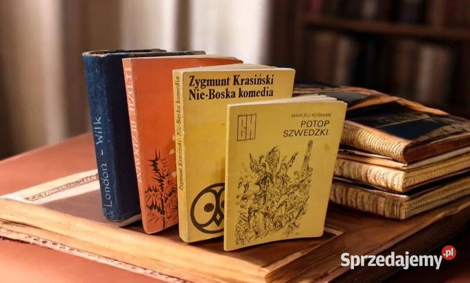 Książki Zestaw łódzkie Łódź sprzedam