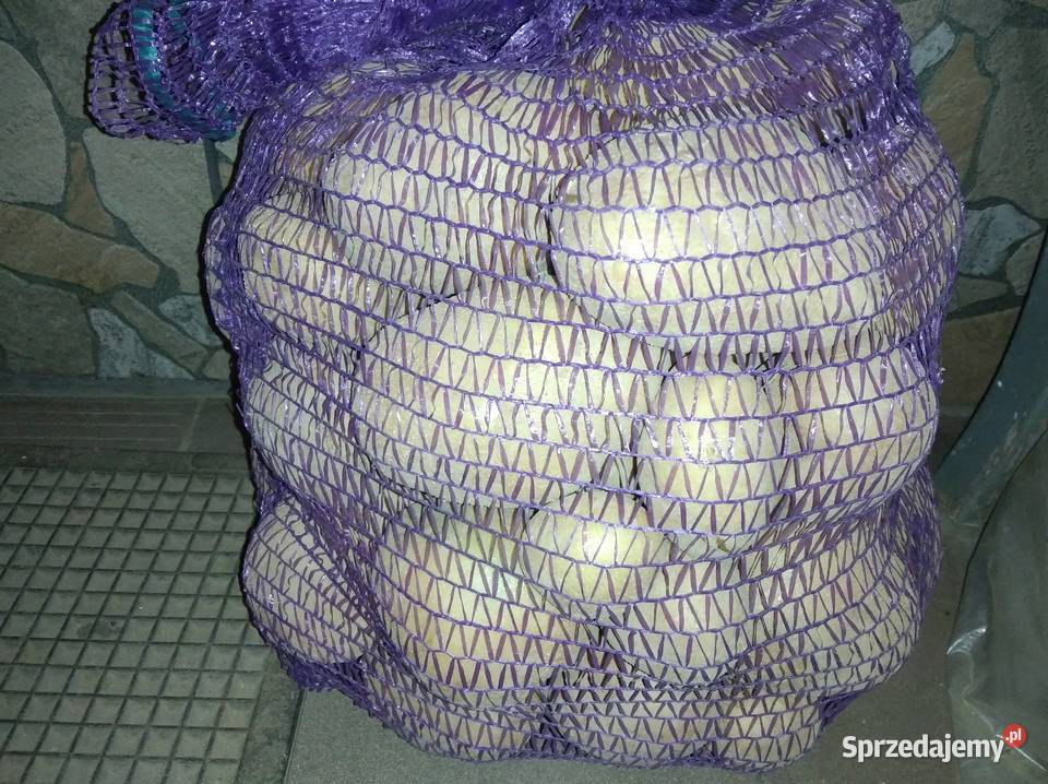 ziemniaki ekologiczne vineta Pieszyce sprzedam