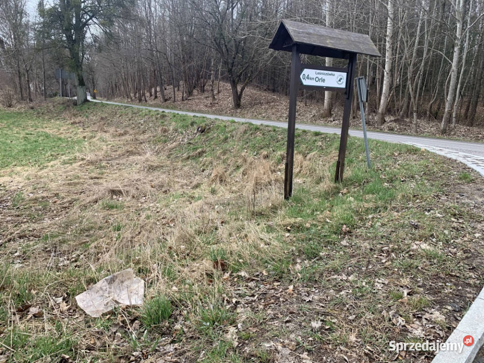 Działka 133 ha z brzegiem Jeziora Dużego Orle pomorskie Liniewo