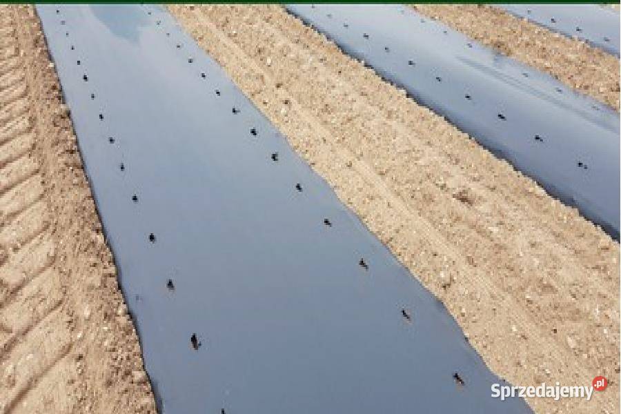 Folia Do Ściółkowania Biodegradowalna EKO Skwierzyna