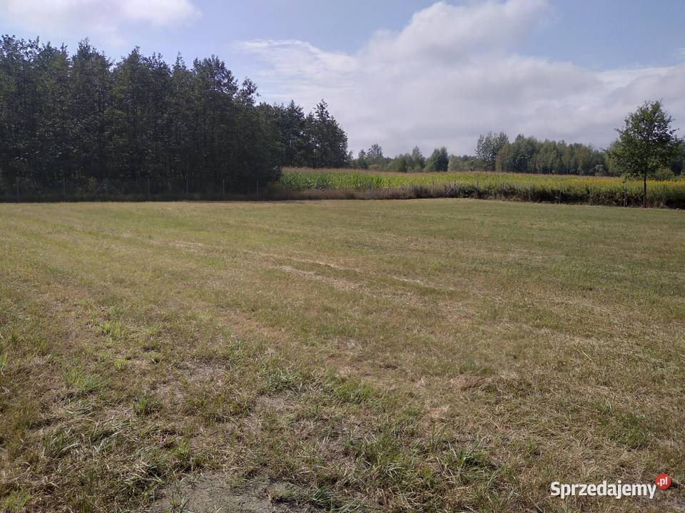 Sprzedam piękną działkę w Szczucinie Szczucin
