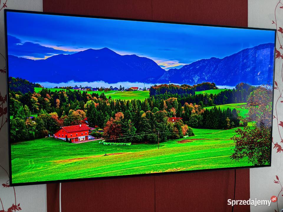 TV LG OLED 55 CX uszkodzony Telewizory Częstochowa