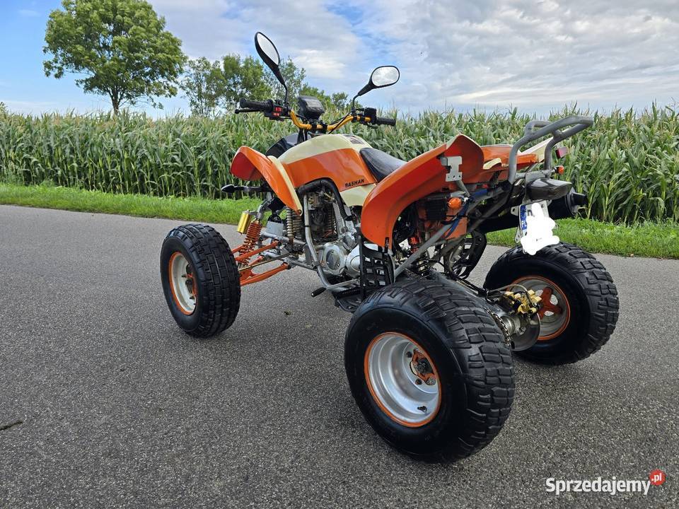 Quad Bashan 250cc Ciecz Manual 41r duża rama quad - ATV Kruszwica