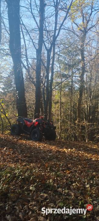 Quad hummer 150 31 pół automat Trzciana