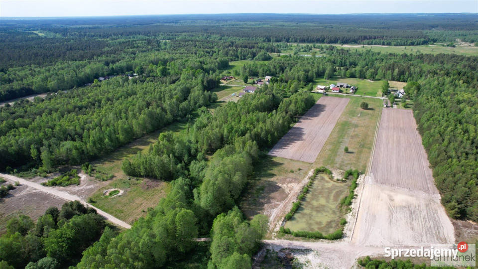 Działka Margole 7900m2