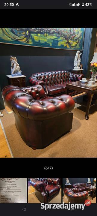 Chesterfield angielski Biała Podlaska