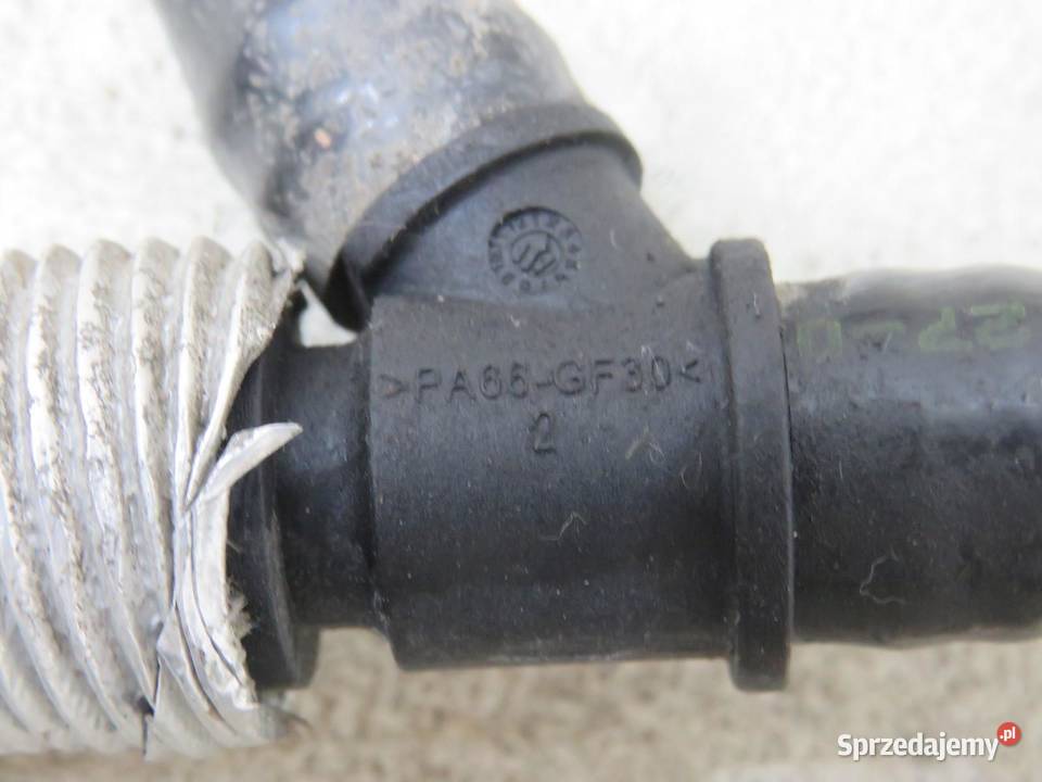 WĄŻ PRZEWÓD WODY TWINGO III 09 TCE lubelskie