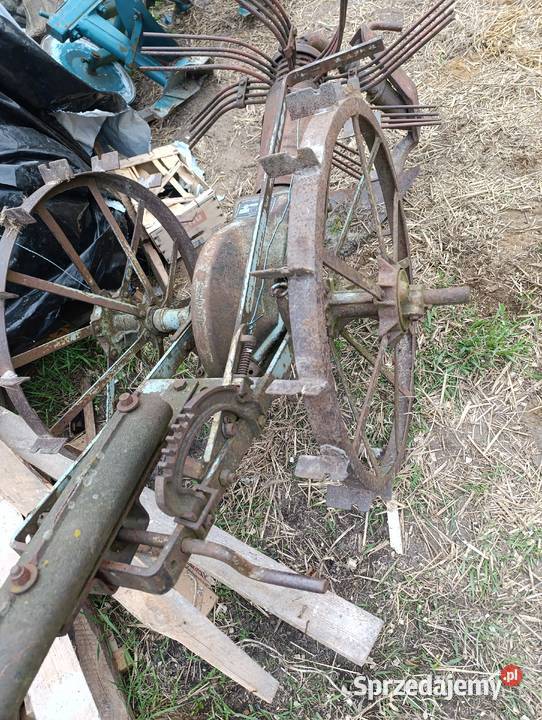 Kopaczka konna lubelskie Lubartów