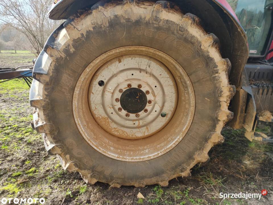 Case IH PUMA 200 skrzynia CVX 2018r 3400mth Trzebiel sprzedam