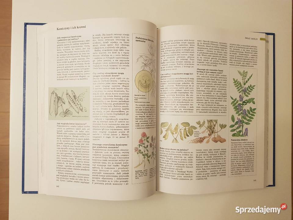 ABC Przyrody W pytaniach i odpowiedziach Szczecin