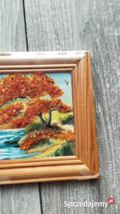 obrazek dekoracyjny bursztyny Poznań